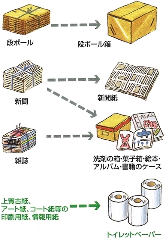 分別された古紙はこのような紙製品に加工